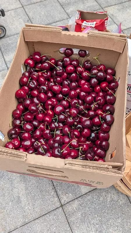 Metuchen Farmers Market photo 2