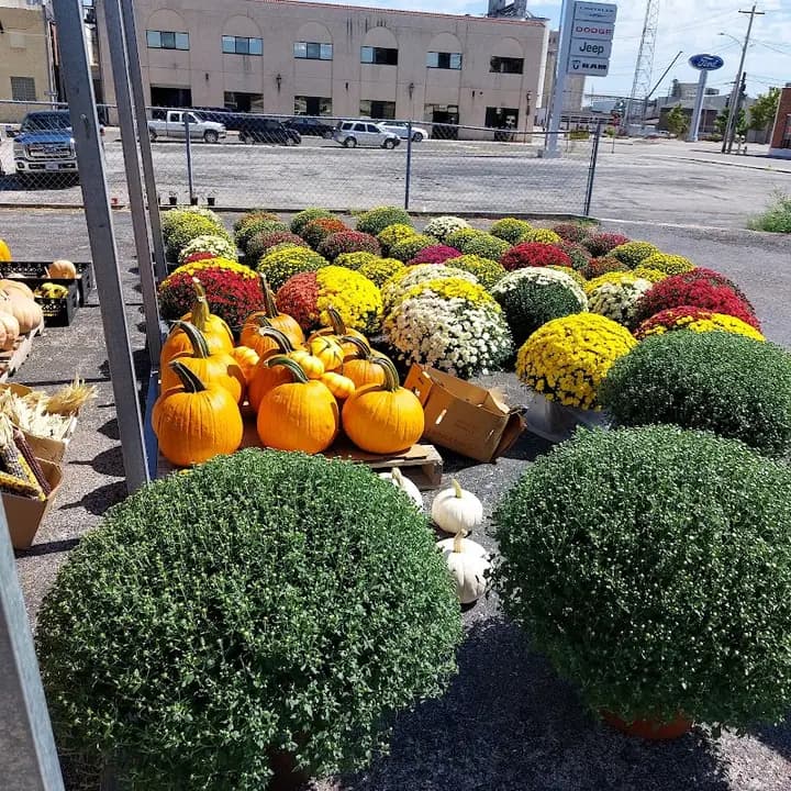 Mexico Farmers Market, Inc.