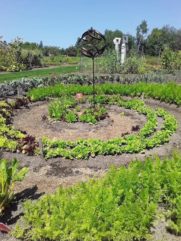 Milbridge Farmer's Market photo 2