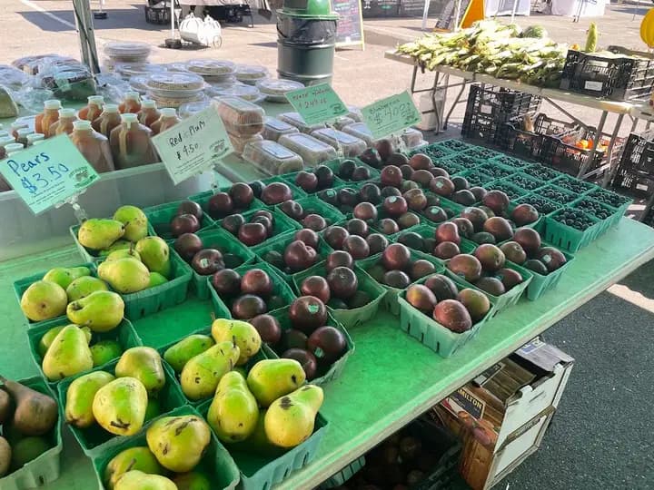 Millburn Jersey Fresh Farmers Market
