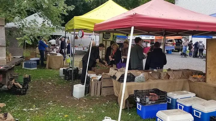 Millerton Farmers Market photo 2