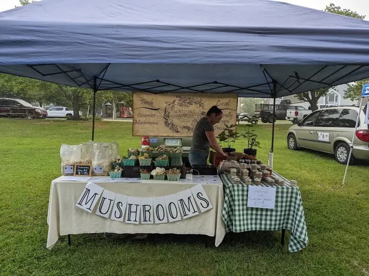 Mineral Farmer's Market
