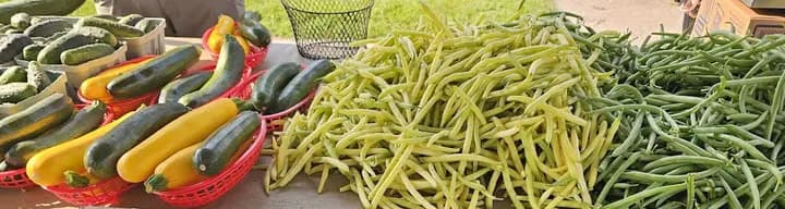Minocqua Farmers Market photo 2