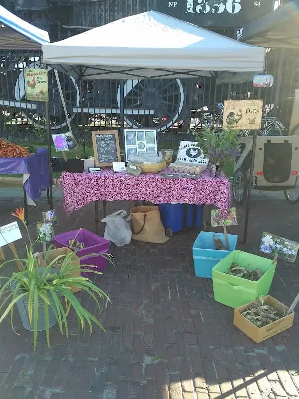 Missoula Farmers Market photo 2