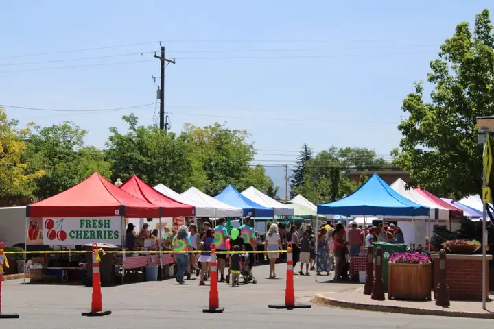 Montrose Farmers Market photo 2