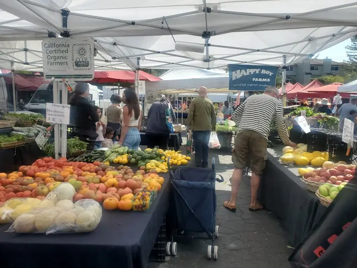 Moraga Certified Farmers Market photo 2