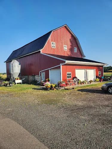 Mornin' Sunshine Farm