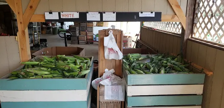 Mount Airy Farmers Market photo 2