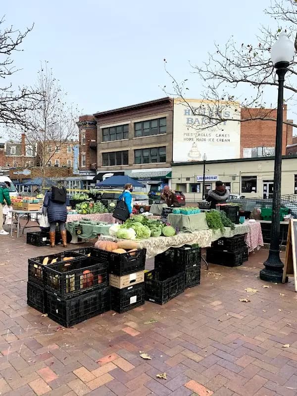 Mount Pleasant Farmers' Market photo 2