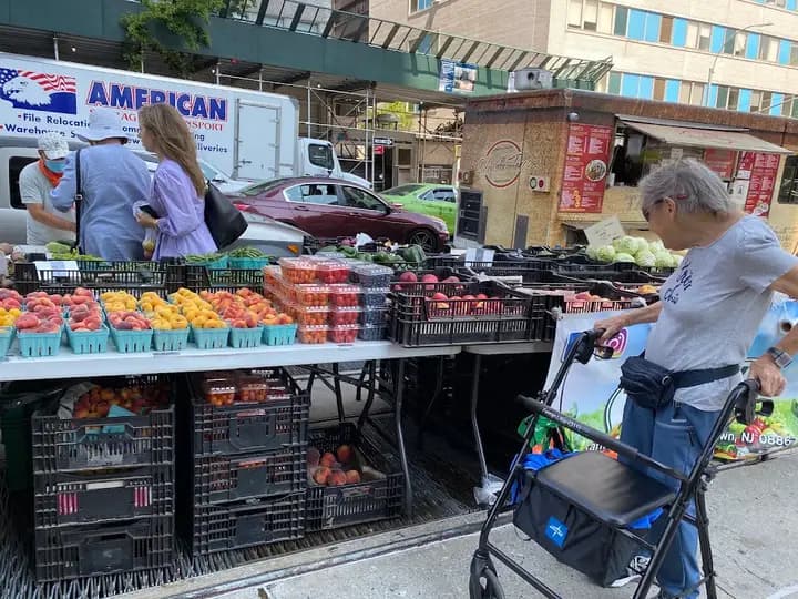 Mount Sinai Hospital Greenmarket