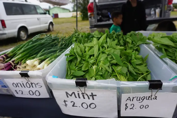 Mountain View Farmers’ Market