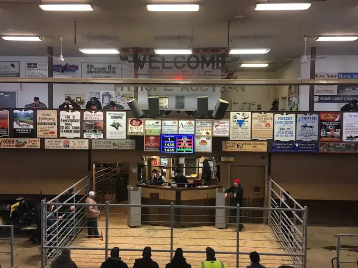 Mt. Hope Auction photo 2