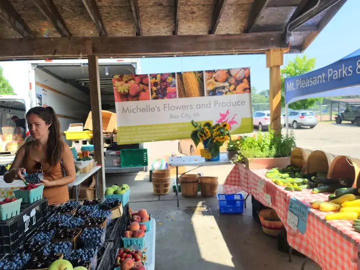 Mt. Pleasant Farmers' Market - City Hall photo 2