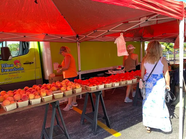 Mt. Prospect Farmers Market photo 2