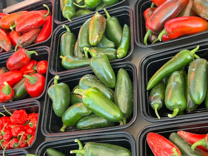 Muscatine Area Farmers Market I