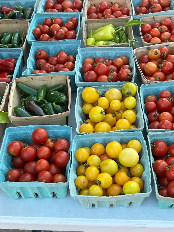 Muscatine Area Farmers Market II photo 2