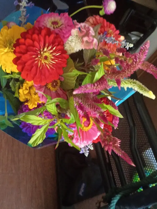 Muskogee Farmers' Market photo 2