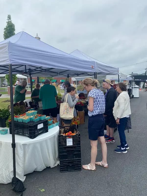 Needham Farmers Market photo 2