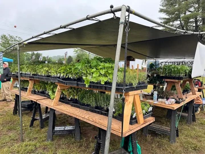 Nelson Farmers Market photo 2