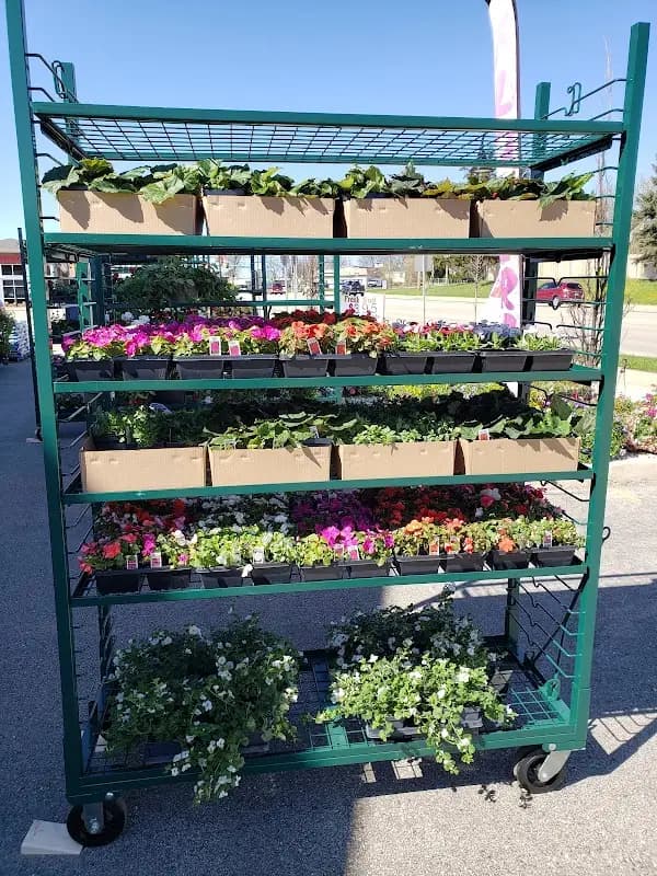 New Berlin Farmers Market photo 2