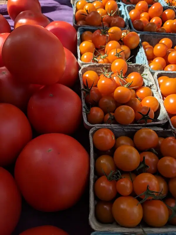 New Milford Farmers Market