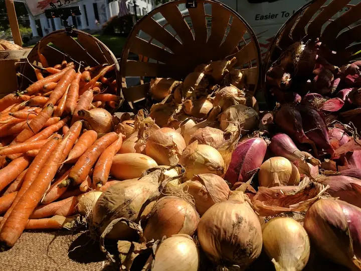 New Milford Farmers Market photo 2