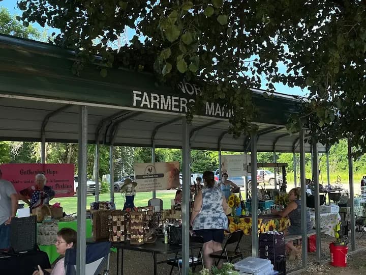 Newcastle Downtown Farmers Market photo 2