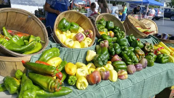 North Buffalo Farmers Market