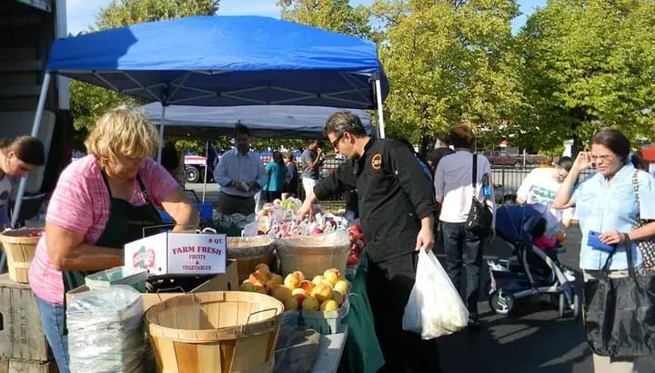 North Buffalo Farmers Market photo 2