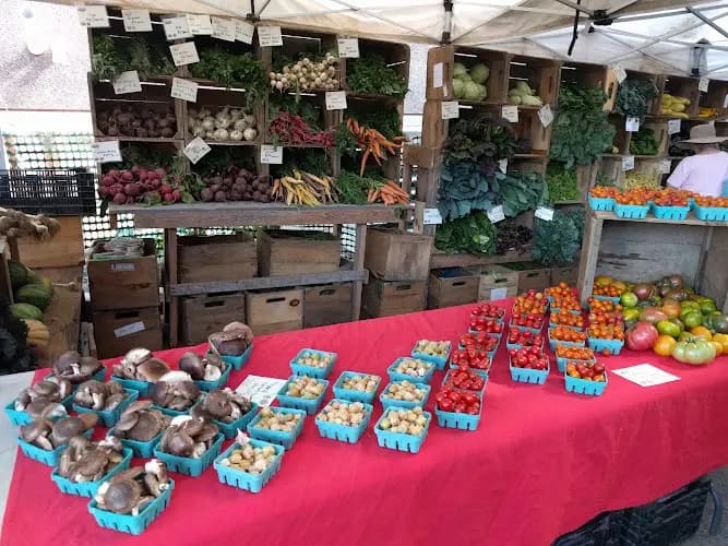 Northampton Tuesday Farmers' Market