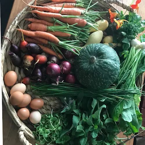 Northeast Georgia. Locally Grown.net - Rabun County site