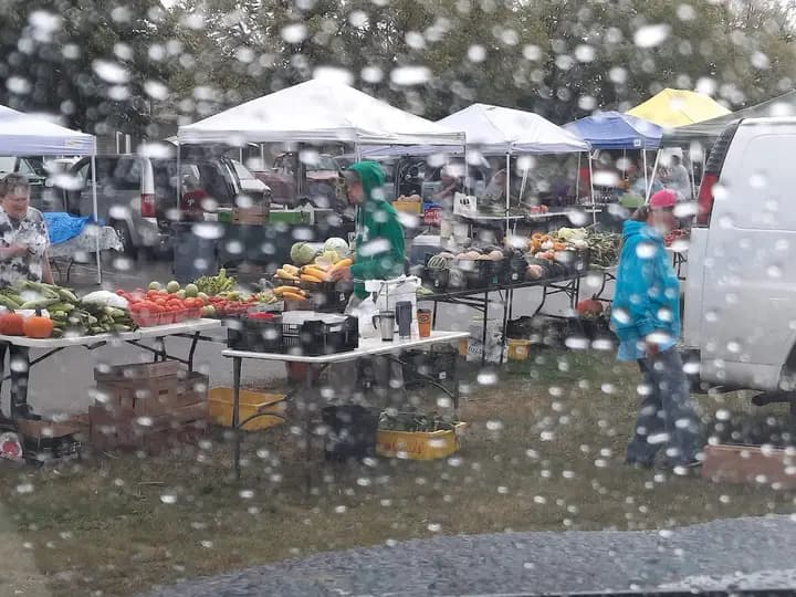 northeast michigan regional farm market