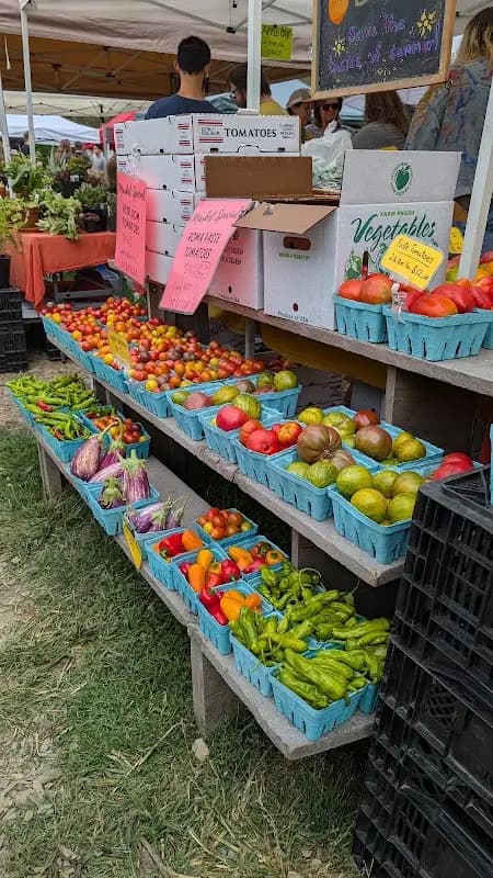 Norwich Winter Farmers Market photo 2