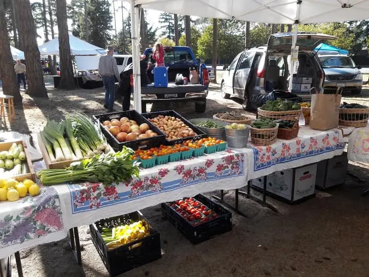Oak Harbor Farmers Market photo 2