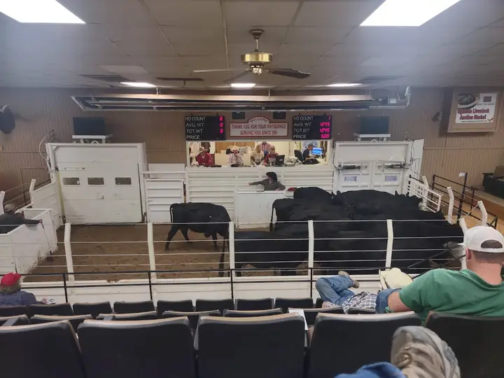 Ogallala Farmers Market