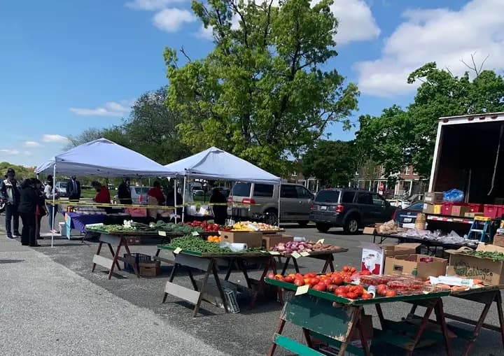 Open Air Farmers Market