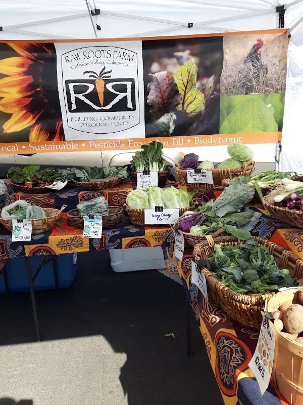 Original Merced County Certified Farmers Market - Downtown Merced photo 2