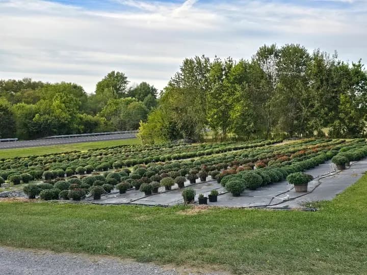 Owen County Farm and Craft Market