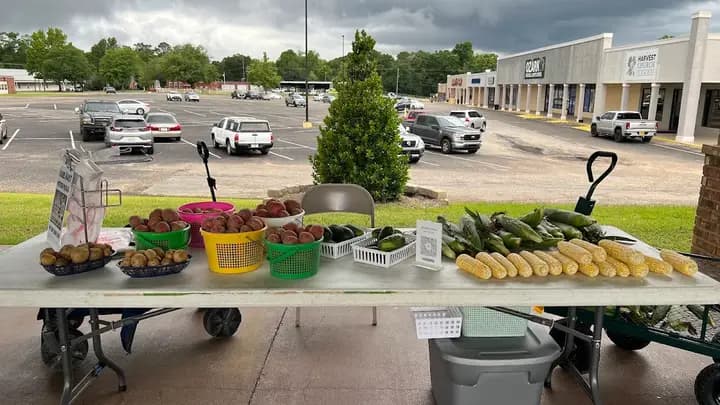 Ozark Farmers Market