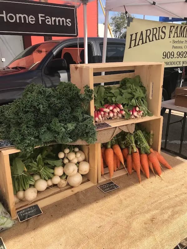 Pacific Beach Tuesday Certified Farmers' Market photo 2