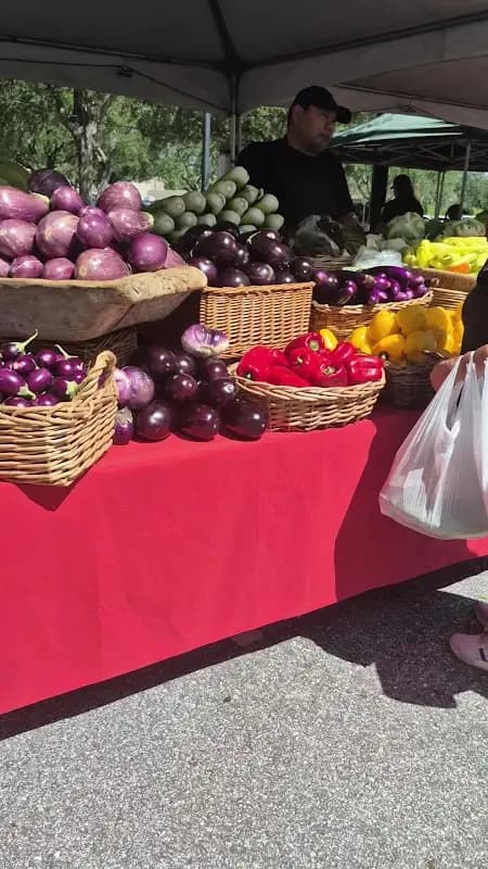 Palm Beach Gardens GreenMarket photo 2