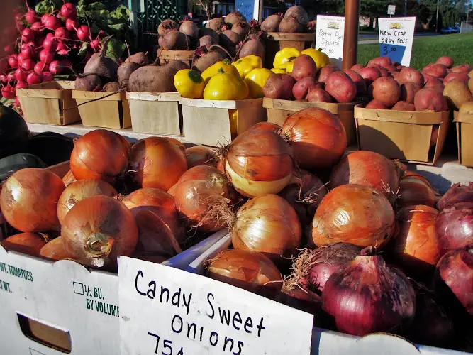 Palmyra Farmers Market