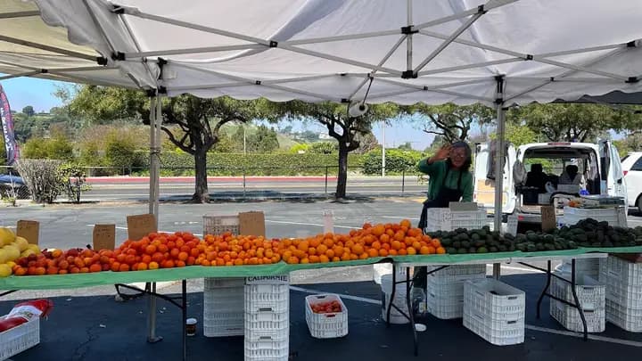 Palos Verdes Farmers Market photo 2