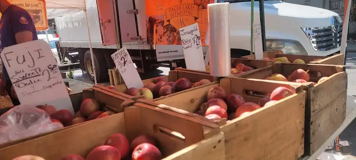 Parkchester/Virginia Pk Greenmarket photo 2