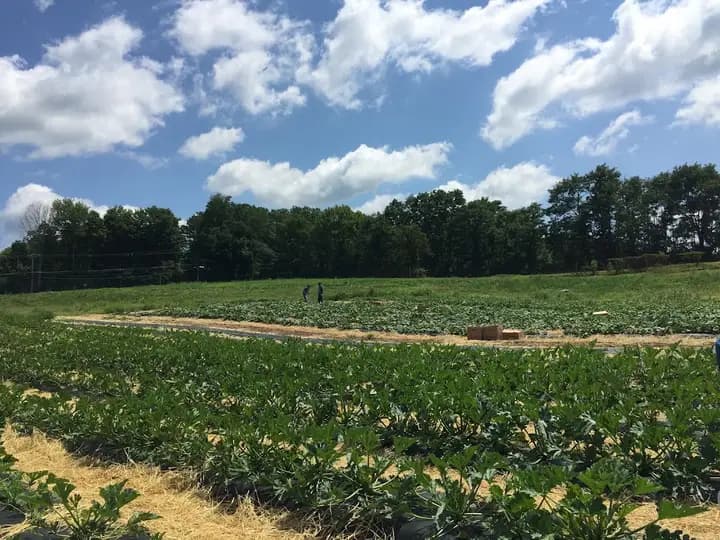 Peaceful Valley Orchards