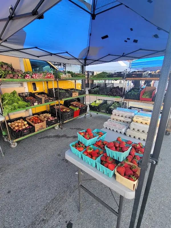 Peekskill Farmers Market - Outdoor Market photo 2