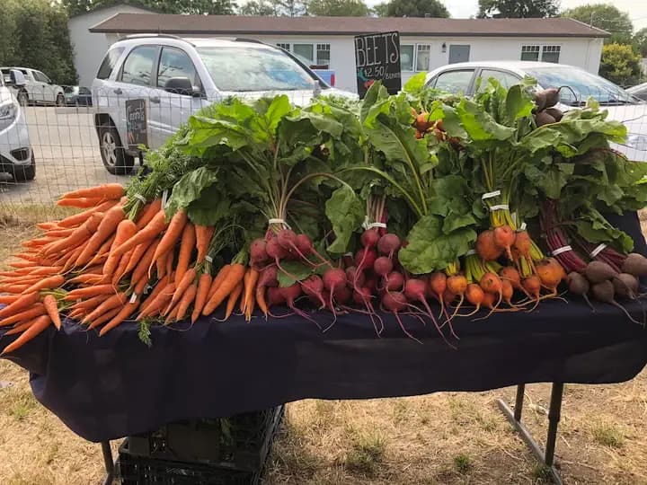Pescadero Grown