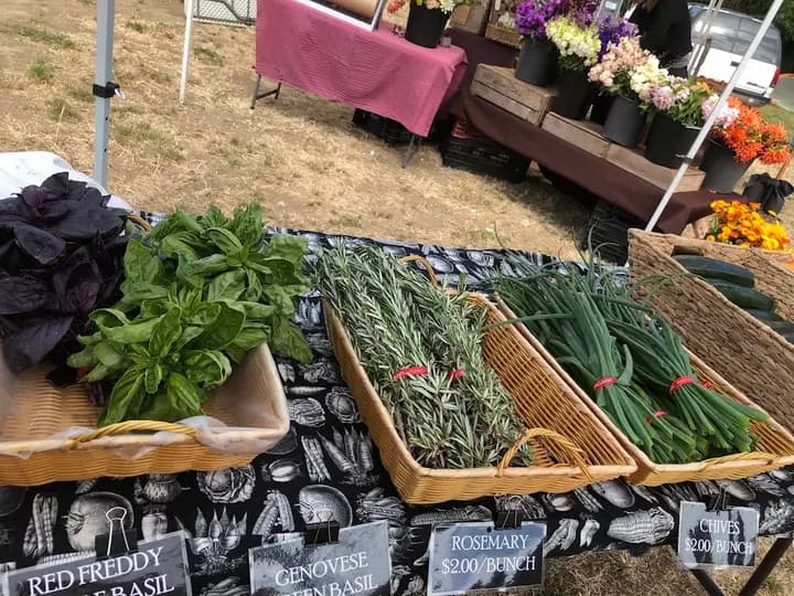 Pescadero Grown photo 2