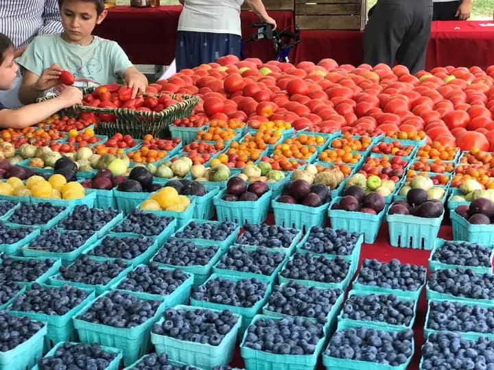 Pikesville Farmers Market photo 2