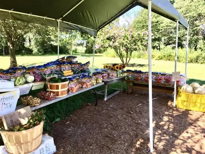 Plainwell Farmers Market